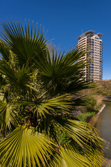 Fototapeta na wymiar A beautiful mixed park with palm trees and a small pond next to a high-rise modern residential area in Barcelona, Catalonia, Spain