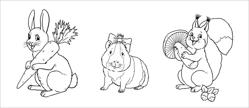 Cute rabbit, squirrel and guinea pig to color in. Vector template for a coloring book with funny animals. Coloring template for kids.