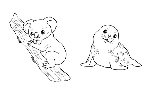 Cute koala and seal for coloring. Vector template for a coloring book with funny animals. Coloring template for kids.
