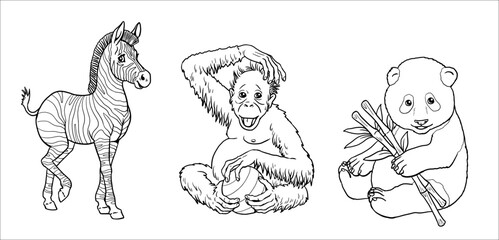 Cute zebra, orangutan and giant panda to color in. Vector template for a coloring book with funny animals. Coloring template for kids. © Lunstream