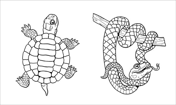 Cute turtle and snake coloring pages. Vector template for a coloring book with funny animals. Coloring template for kids.
