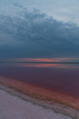 Beautiful view of pink salt lake in Kherson region, Ukraine, Europe. Bright wallpapers. Scenic photography of nature. Amazing seascape. Wooden poles in the water of a pink lake