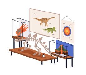 Geology, Paleontology classroom. Natural science subject for fossils and Earth study, education. Palaeontology class room with exhibits, skeleton. Flat vector illustration isolated on white background