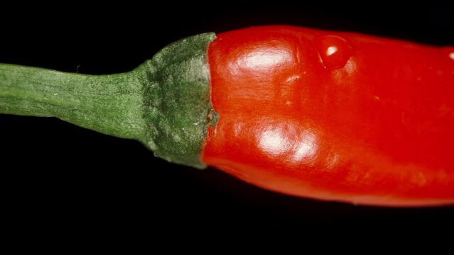 Burning and spicy red chili pepper, with water droplets, Isolate on a Black Background, Macro Dolly.