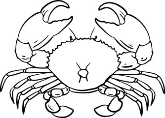 sketch crab