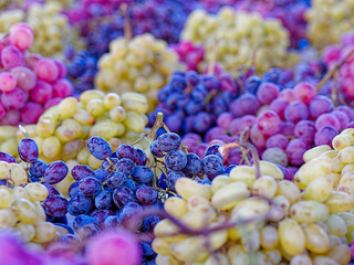 A variety of juicy grapes, wonderful celebration of nature's colors.