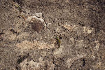 gray background, type of stone, gray rocks