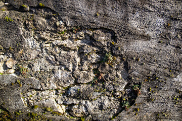 stone wall