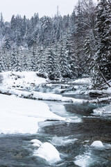 Fototapeta na wymiar Wild river in snowy forest at winter