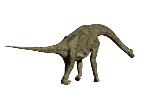 dinosaur brachiosaurus 3d render
