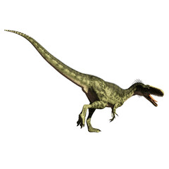 dinosaur megalosaurus 3d render
