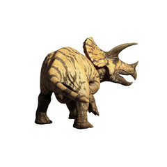 dinosaur triceratops 3d render