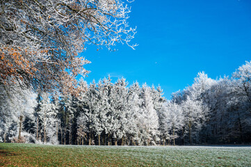 Winterlandschaft blauer Himmel und Raureif