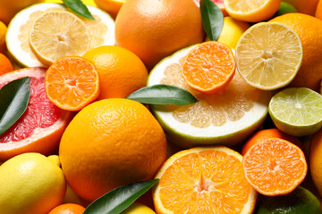 Different ripe citrus fruits with green leaves as background, closeup