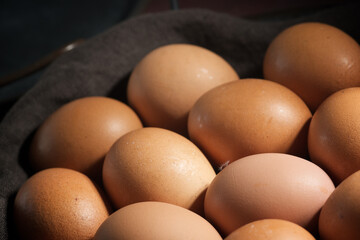 View of a group of eggs.