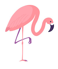 Tropic animals and fauna, flamingo bird vector