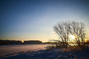 Sunrise on winter morning and trees with bare branches on a cold sunny time and snow on field
