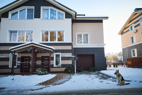 Modern House In Winter Day And Big Dog Near It On Snow