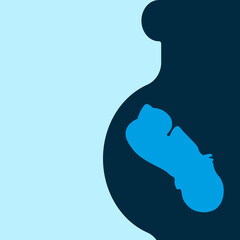 Banner for the perinatal center with the image of a baby in the mother's stomach. A pregnant woman with a baby in the womb. Website poster for a women's consultation.