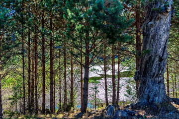 Laguna de la Cascada