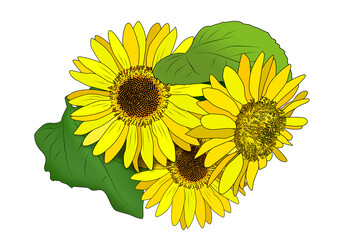 Three painted yellow sunflowers isolated on a white background.
