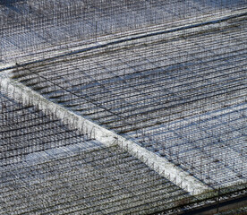 Obstplantage im Winter - orchards in winter
