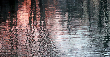 Abendstimmung am Ufer - evening mood at the lake shore