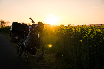 Naklejka na ściany i meble Resting on a bike travel with golden sunset over a rape field and luggage on the bike