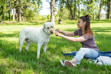 Young woman adopt young dog Labrador Retriever from animal rescue shelter center and gave him love and friendship. Female animal lover spending time with her puppy in the park.