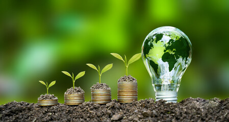 the light bulb sits on the ground Plants grow on stacked coins. Renewable energy production is essential for the future. Green businesses using renewable energy can limit climate change. - obrazy, fototapety, plakaty