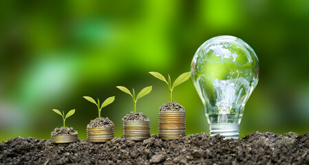 the light bulb sits on the ground Plants grow on stacked coins. Renewable energy production is essential for the future. Green businesses using renewable energy can limit climate change. - obrazy, fototapety, plakaty