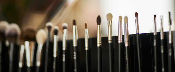 Set, professional makeup brushes, in a black leather case, makeup artist tools, horizontal, no people. Collection of professional makeup brushes. Makeup brush set, cosmetic accessories
