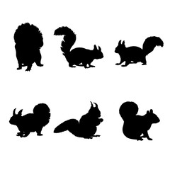 Set of silhouettes of tree squirrels vector design