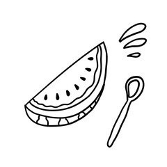 Juicy watermelon. Vector illustration in outline doodle style isolated on white background.