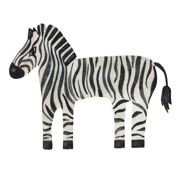 Zebra on a white background, watercolor illustration,