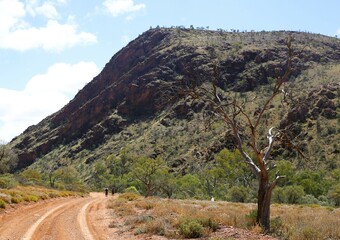 road in the mountains