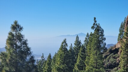 Obraz premium El Teide vulcano view near Roque Nublo, Gran Canaria, Spain