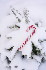 candy cane, on the snow. Christmas mood
