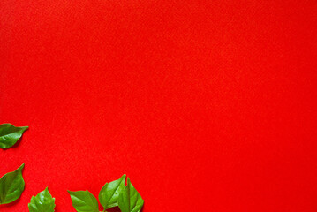 Young fresh green leaves on a red background. Bright background with place for text. © Olena Svechkova