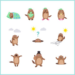 Set of cute cartoon Groundhog in various poses. Vector illustration