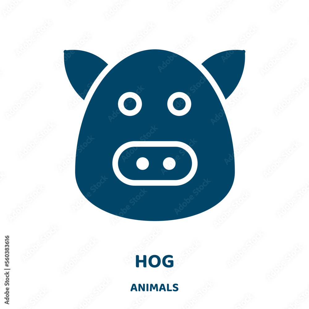Poster hog vector icon from animals collection. pig filled flat symbol for mobile concept and web design. b