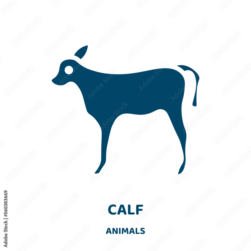 Poster calf vector icon from animals collection. beef filled flat symbol for mobile concept and web design.