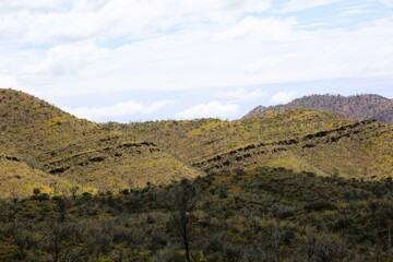 landscape in the mountains