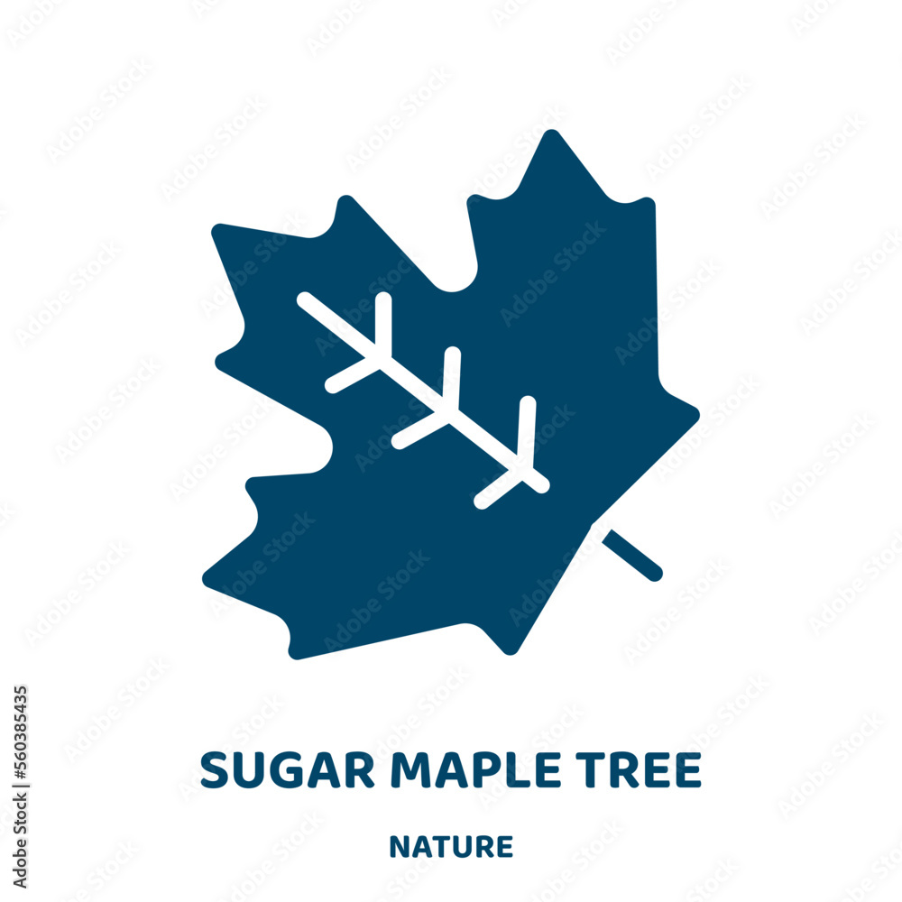Poster sugar maple tree vector icon from nature collection. leaf filled flat symbol for mobile concept and 