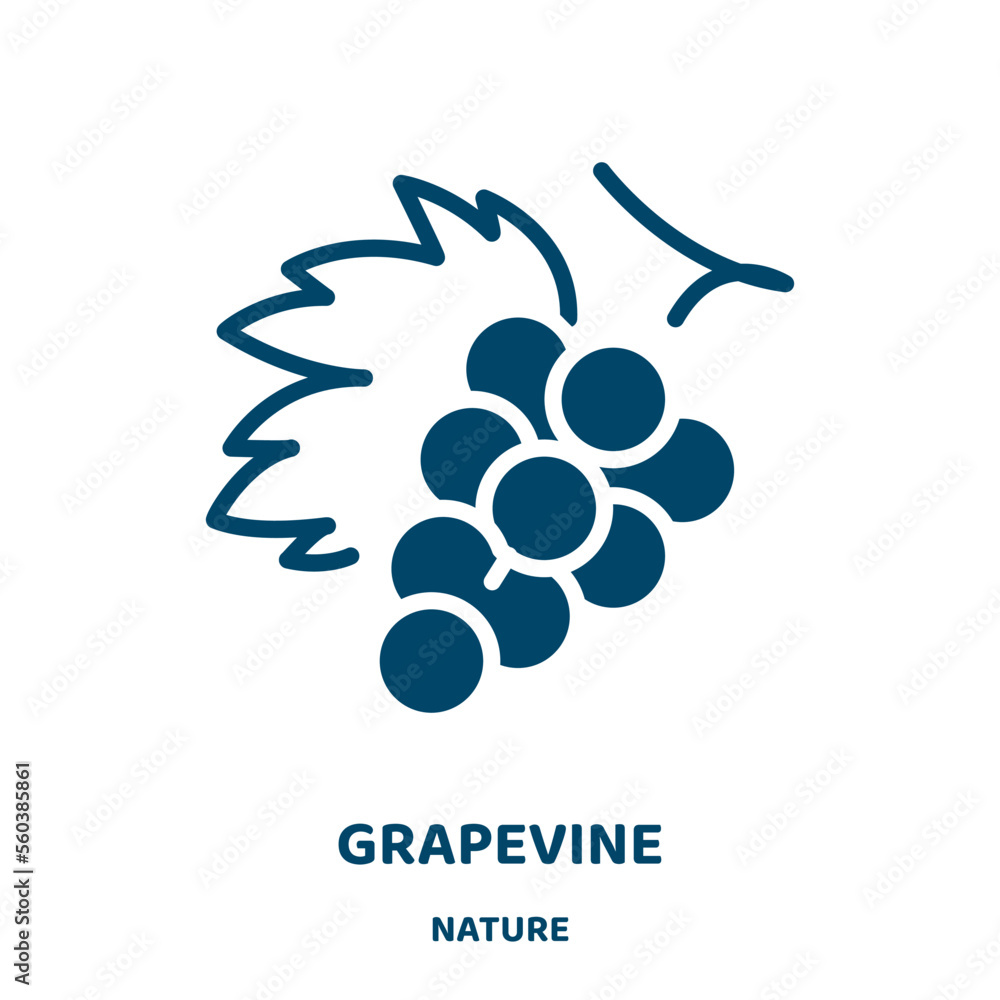 Poster grapevine vector icon from nature collection. berry filled flat symbol for mobile concept and web de