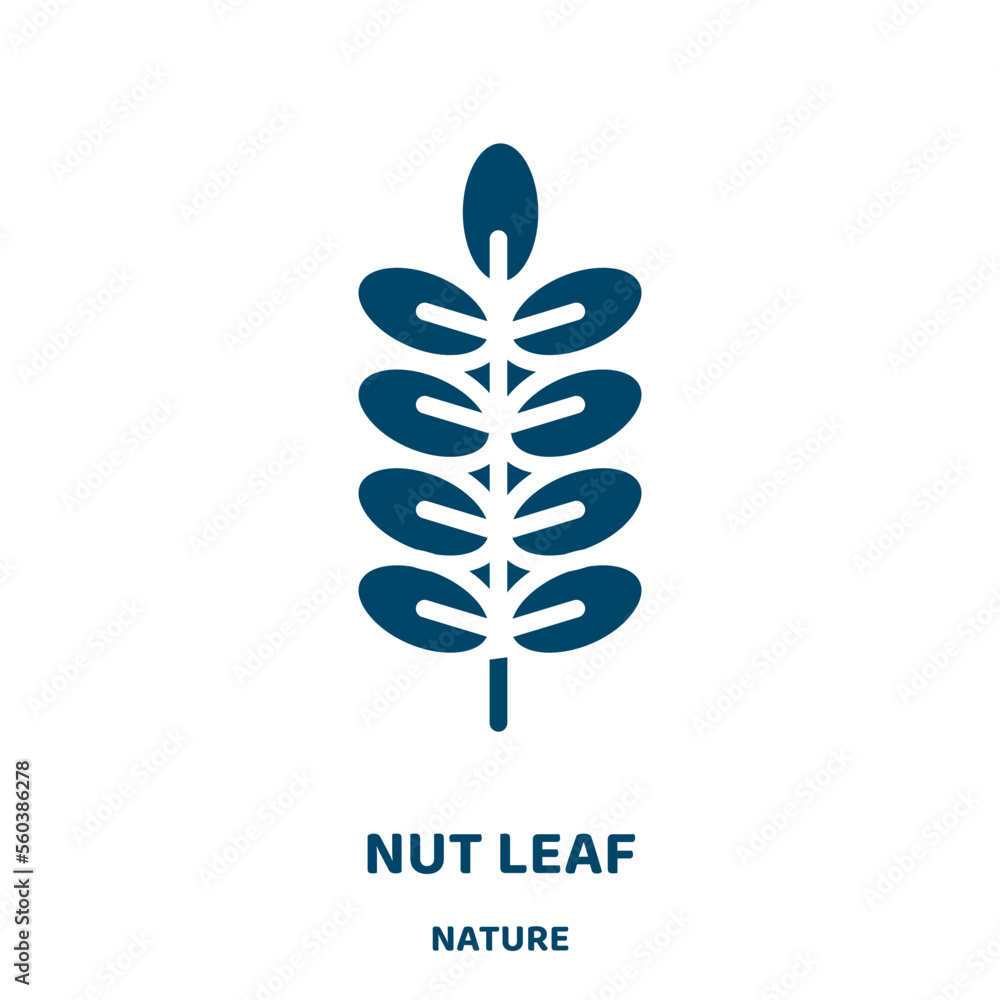 Poster nut leaf vector icon from nature collection. leaf filled flat symbol for mobile concept and web desi