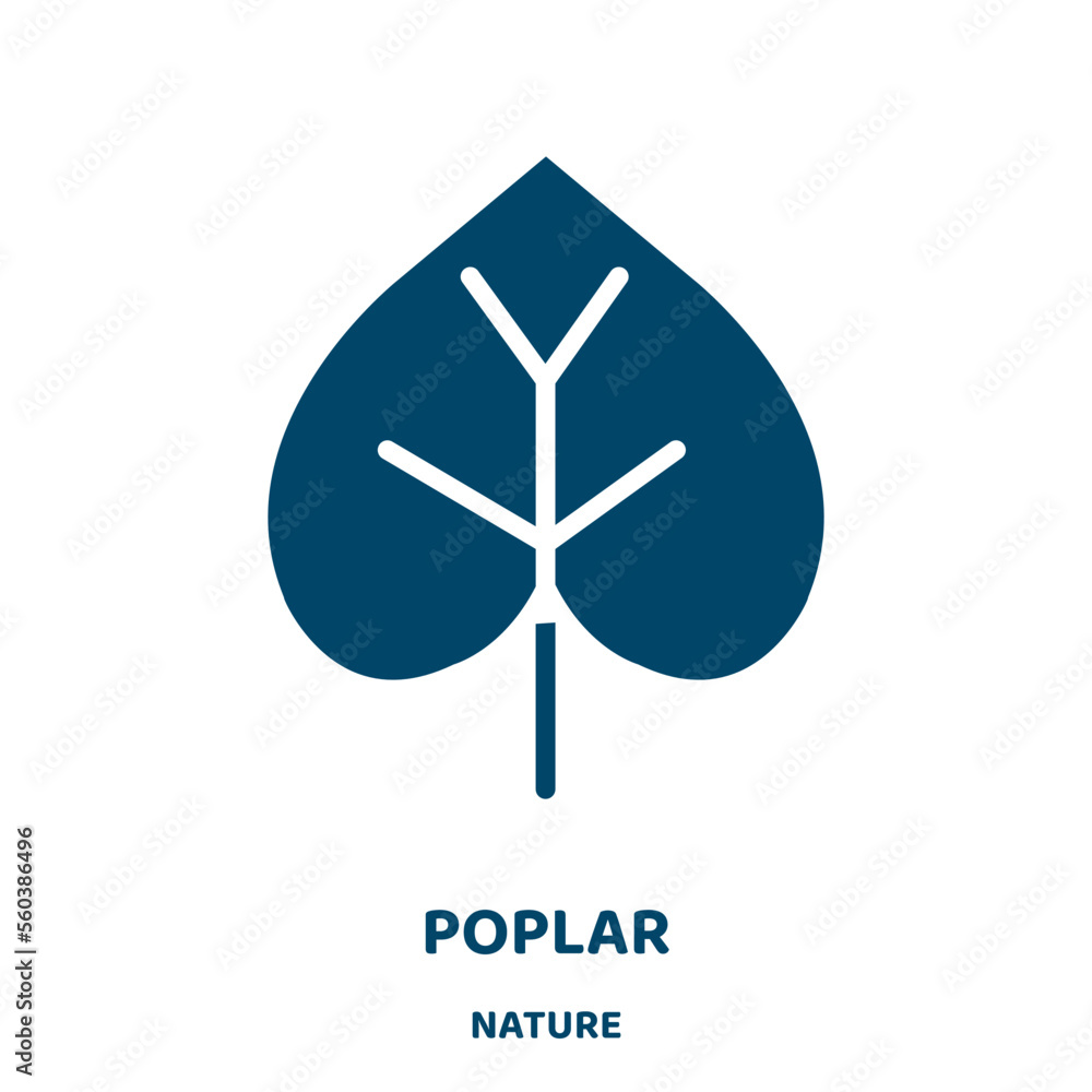 Poster poplar vector icon from nature collection. tree filled flat symbol for mobile concept and web design