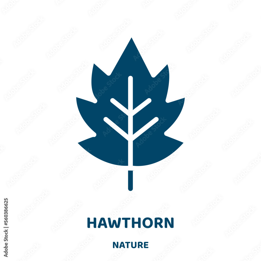 Wall mural hawthorn vector icon from nature collection. nature filled flat symbol for mobile concept and web de