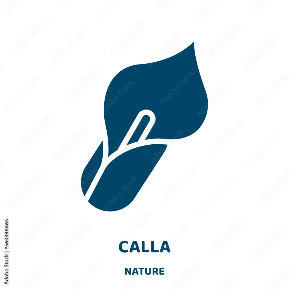Poster calla vector icon from nature collection. tulip filled flat symbol for mobile concept and web design