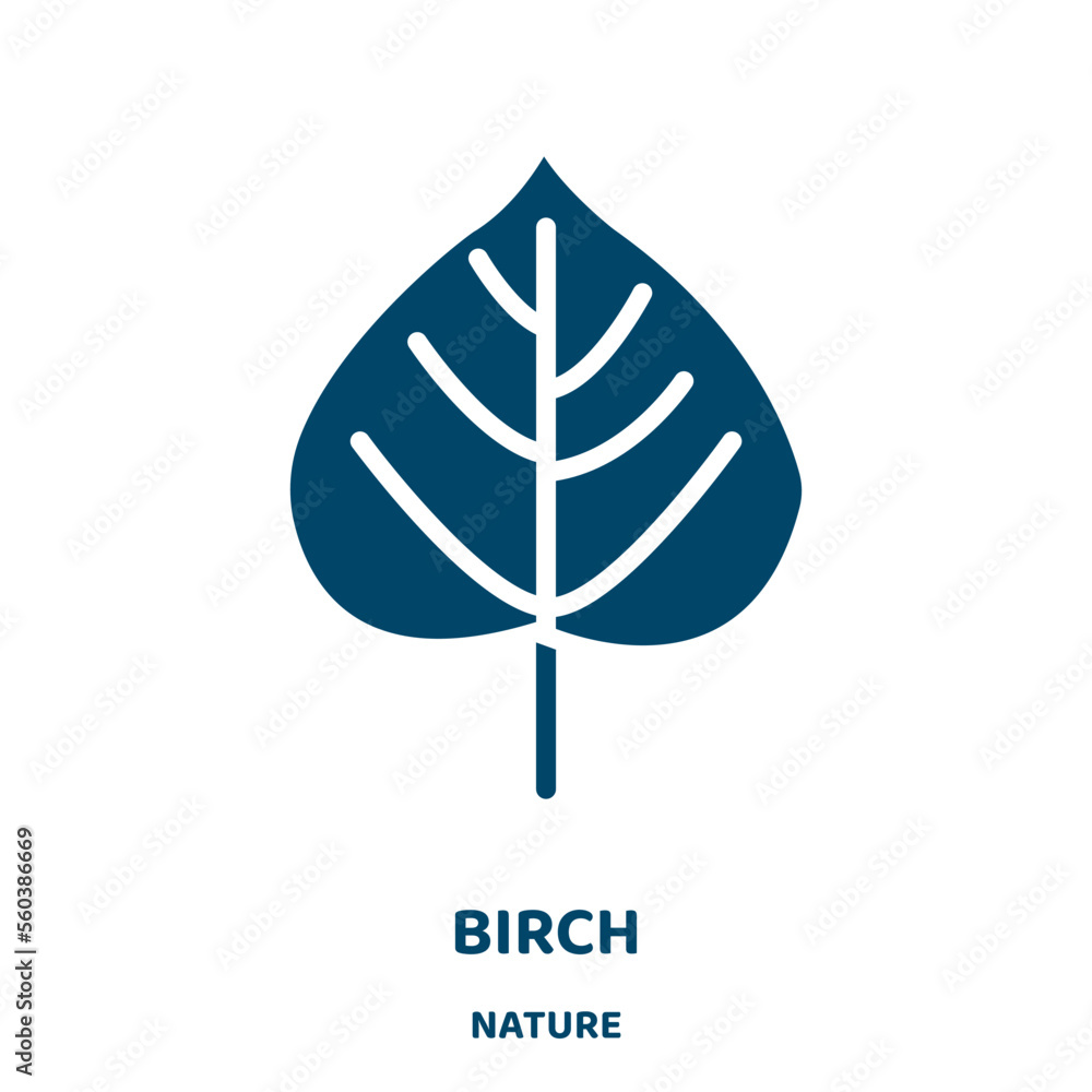 Poster birch vector icon from nature collection. nature filled flat symbol for mobile concept and web desig